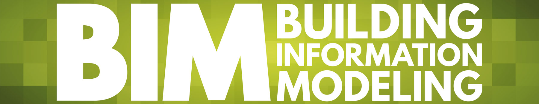 BIM consulenza